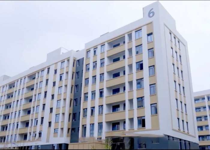 Qingdao Meilianjia International Trade Co., Ltd производственная линия завода