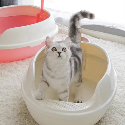 Высокая сторона ПП пластиковый туалет для кошек Большой антибрызговый открытый верхний кошачий мусорный ящик для помещений