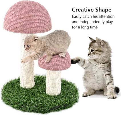 Кошка царапается, спит, играет в грибы, розовый сисаль, поднимается на дерево, играет.