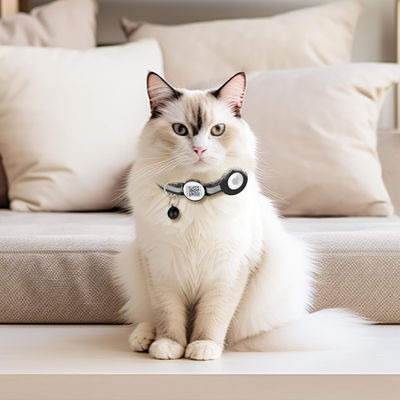 Персонализированные аксессуары для домашних животных Функция Custom Print Nylon Smart QR Code Pet Tag Collar