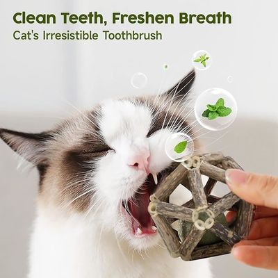 Приемлемый логотип Catnip Ball Pet Cat Toy для интерактивной игры и упражнений