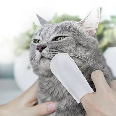 Удобное и нежное уборка пользовательский логотип ПЭТ зубные салфетки с натуральными ингредиентами