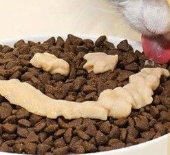 55% Содержание мяса Кошачий сырой корм Все стадии жизни Лосось Кошачий лакомство Палочка