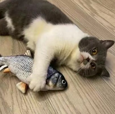 Catnip Plush Electric Moving Fish Cat Toy для устойчивого и интерактивного игрового времени
