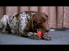 Пискливая собака-домашний любимец жевать игрушки прочные и прочные для агрессивных жевателей Модный стиль